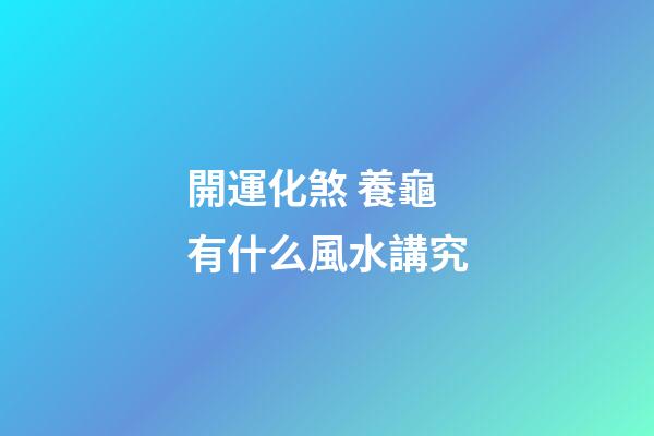 開運化煞 養龜有什么風水講究